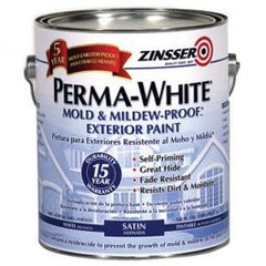 TRUE VALUE 3101 GAL Mildew Proof Paint