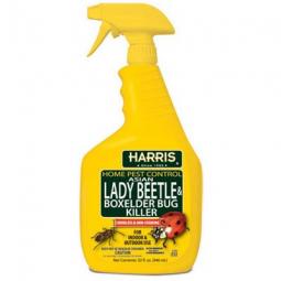 TRUE VALUE HBXA-32 Asian Lady Beetle & Box Elder Bug Killer, 32-oz.