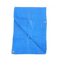 TRUE VALUE KT-LT1012B 10X12 BLU LD POLY TARP