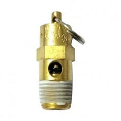 TRUE VALUE 1204S285 MM 1/4 COMP SAFE VALVE