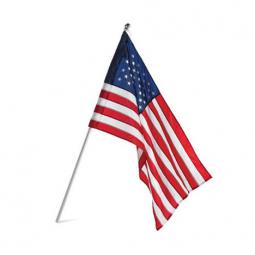 TRUE VALUE 31813 Annin 2-1/2 x 4 Ft. Nylon U.S. Flag & Pole Set