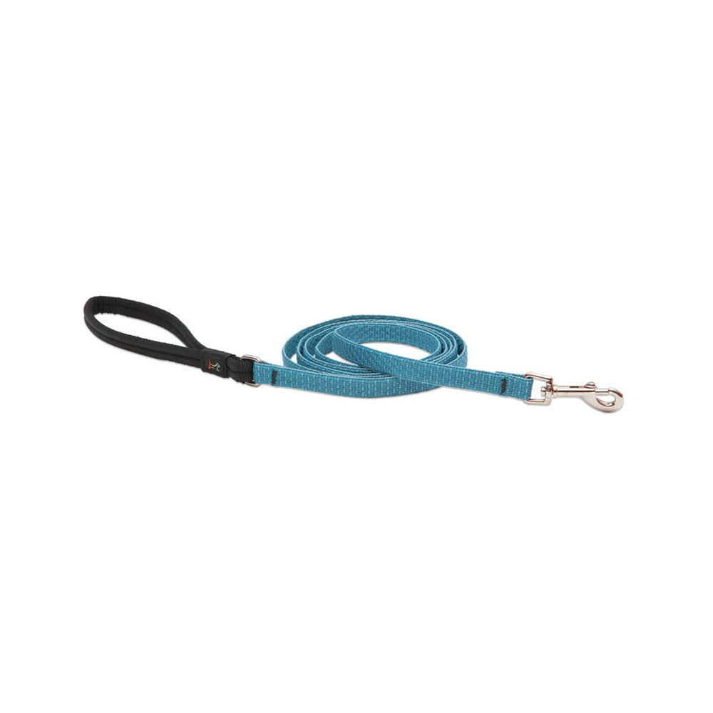 True Value 36359 1X6 TS Dog Leash