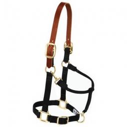 TRUE VALUE 35-6026-NV Weaver Leather Horse Halter, Breakaway, Navy Nylon/Leather, 1-In., Large /2-Year Draft