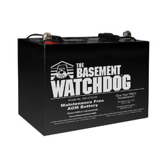 True Value BW-27AGM Basement AGM Battery