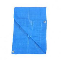 TRUE VALUE KT-LT0608B 6X8 BLU LD POLY TARP