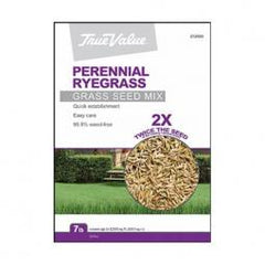 True Value TVPRG3 TV 3LB PEREN RYE SEED