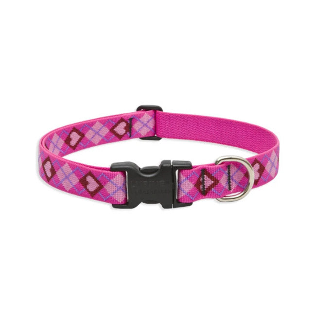 TRUE VALUE 14253 1X16-28 PL DOG COLLAR