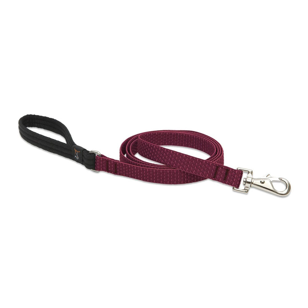 True Value 36959 1X6 BERR DOG LEASH EA