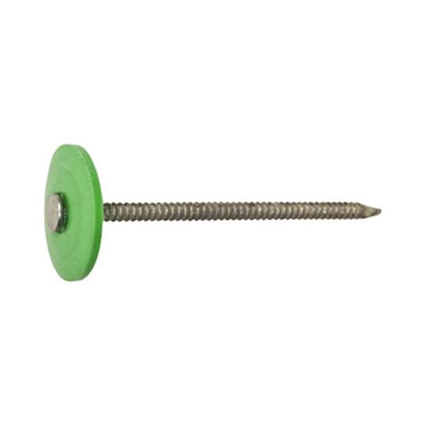 TRUE VALUE 461441 HILLMAN FASTENERS 250CT 1.25 Plastic Cap Nail