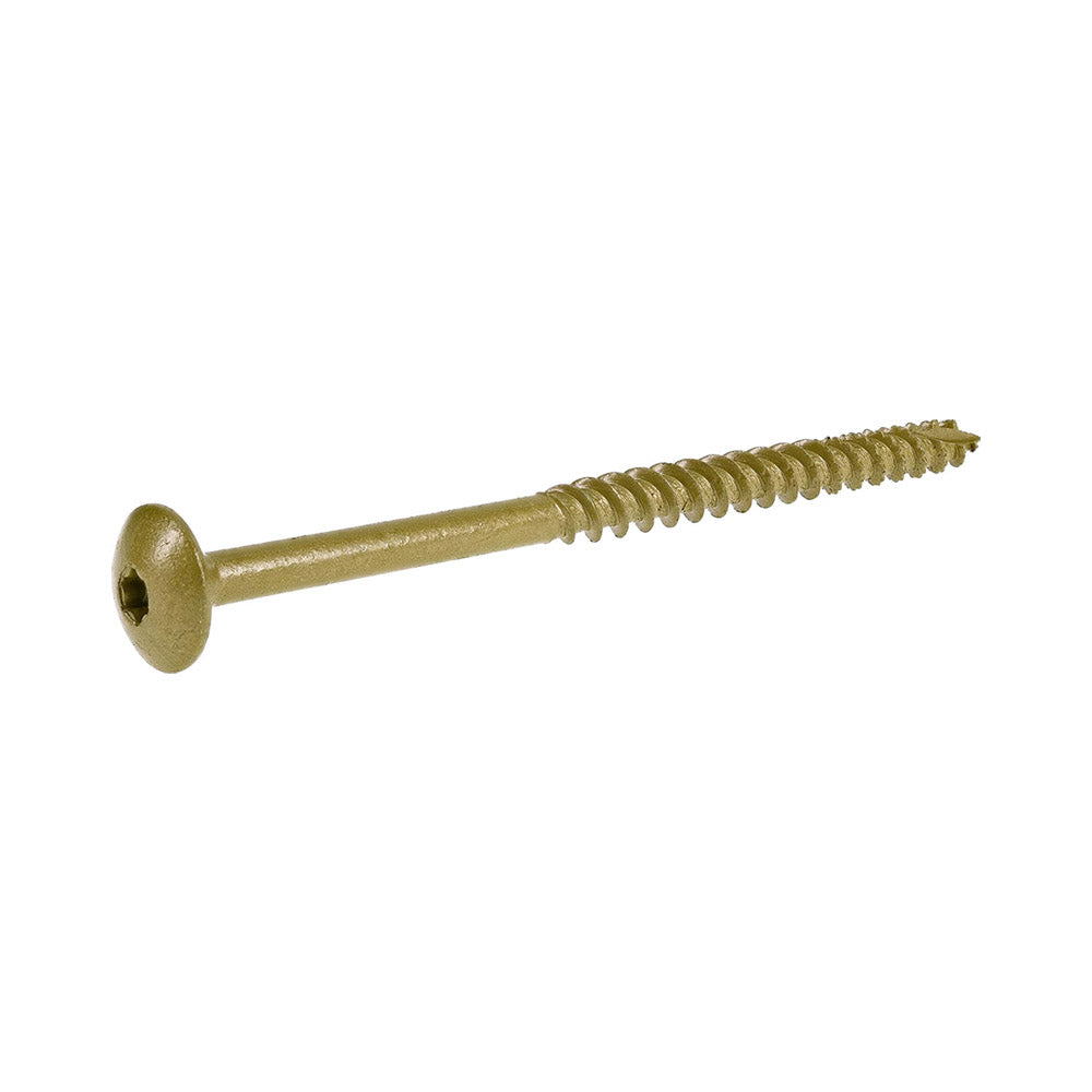 TRUE VALUE 47879 60PK 5/16x6 Lag Screw