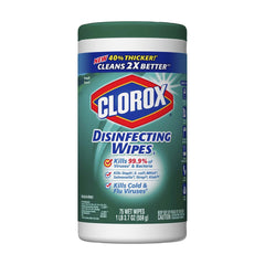 TRUE VALUE 01656 75CT CLOROX WIPES FRESH EA