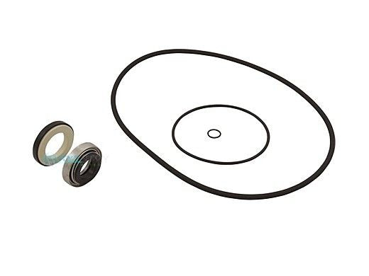 Hayward HCXP6004A Internal Seal Kit