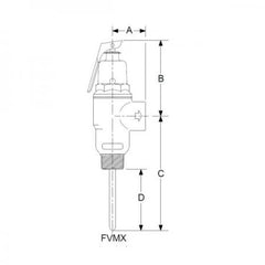 CASH ACME 16935-0150 FVMX High Capacity Combination Temperature/Pressure Relief Valve, 3/4 in, MNPT, 150 psi