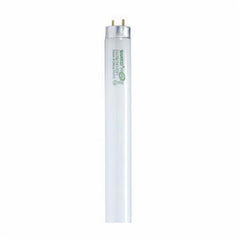 SATCO S8434 Fluorescent Lamp, 25 W, T8, 2200 Lumens