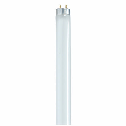 SATCO S8436 32W 48 in. T8 Fluorescent Light Bulb 6500 Kelvin with Medium Bi-Pin Base