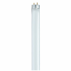 SATCO S8436 32W 48 in. T8 Fluorescent Light Bulb 6500 Kelvin with Medium Bi-Pin Base