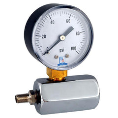 Blue Ribbon BRGT-100 Standard Gas Pressure Test Gauge Assembly, 100 psi, 3/4 in FNPT Connection