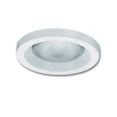 Acuity Brands DLB48 Lithonia Lens 48 in L x 10 in W x 2-3/4 in H