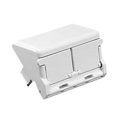 PANDUIT CHS2EI-X Insert, 2 Port, Sloped, Electric Ivory, Pack of 10