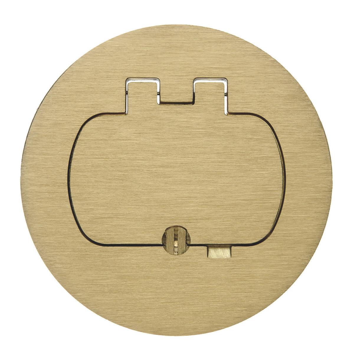 ABB E97BR Carlon E97BR 1-Door Floor Box Cover, Brass