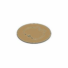 ABB E97BR Carlon E97BR 1-Door Floor Box Cover, Brass