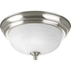 Hubbell P3924-09 Progress Ceiling Lighting Fixture 120 VAC Replacement MPN