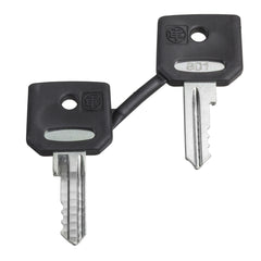 Schneider Electric ZBG458A Key, Harmony XB4, emergency stop push button, key 458A, set of 2 keys