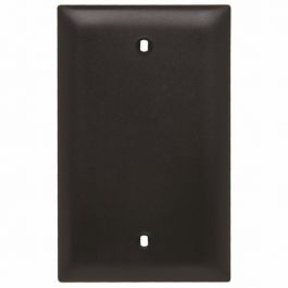 Pass & Seymour TP13BK Blank Wallplate 1 Gang 4.7 in Thermoplastic Black