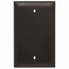 Pass & Seymour TP13BK Blank Wallplate 1 Gang 4.7 in Thermoplastic Black