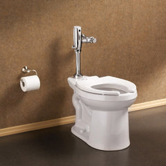 American Standard 3641001.020 FloWise Elongated Toilet Bowl 1.28 to 1.6 GPF