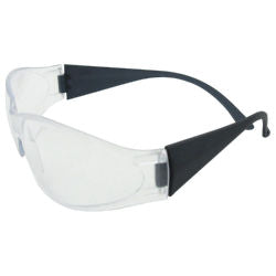 ERB 15281 SMOKE/CLEAR BOAS SAFETY GLASSES