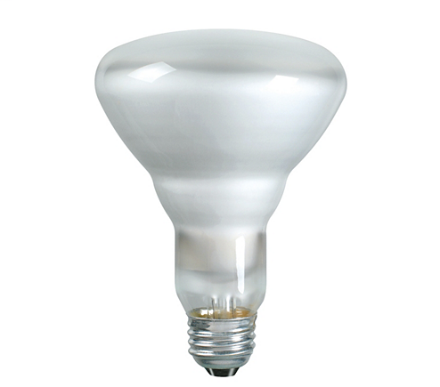 Philips 248849 65 W 130 Volt BR30 Medium 605 Lumen Reflector Incandescent Lamp