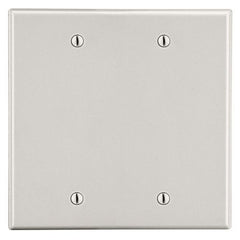 Hubbell Wiring Device-Kellems P23LA Non-Metallic Standard Wallplate 2 Gang 4.63 in L x 4.69 in W