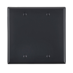 Leviton 80725-E 2-Gang Blank Wall Plate Standard Size Nylon