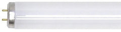 General Electric 80045(F20T12/CW/ECO) Linear Fluorescent Lamp 20W 24 Inch