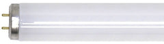 General Electric 80084(F30T12/CW/RS/ECO) Linear Fluorescent Lamp 30W (36 Inch) Replacement MPN