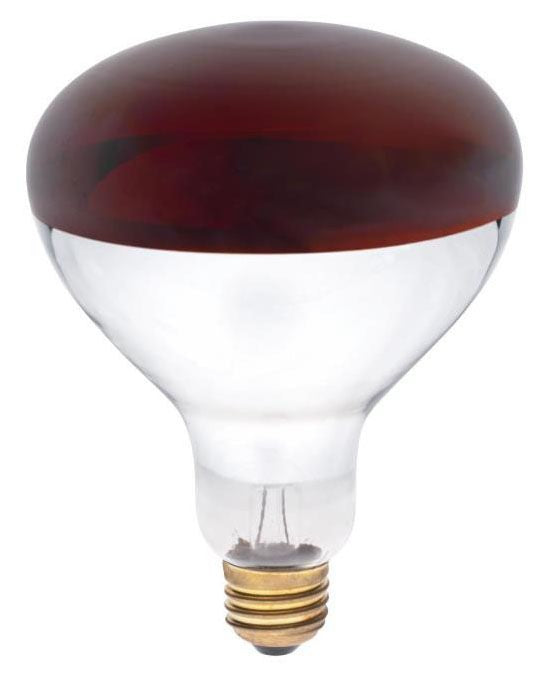 Westinghouse 0391700 Incandescent Lamp 250W 120V Red Infrared Heat Lamp