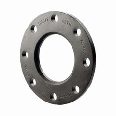 Merit Brass ADI-192 Back-Up Flange 12 in Ductile Iron Import