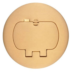 CARLON E97BR2 Two Door Cover for Round Floor Box Brass For Use with Duplex Devices