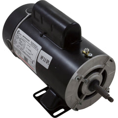 Century BN61 Flex-48 LASAR-XL Extra Low Amps Above Ground Pool & Spa Motor (230V, 3450/1725 RPM, 2, 1/4 HP)