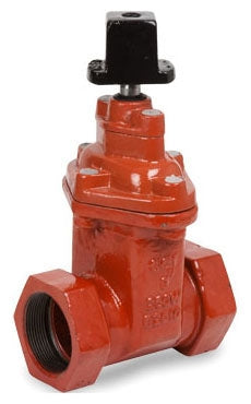 Smith-Cooper International 017110NN030 Gate Valve 250 PSI CWP