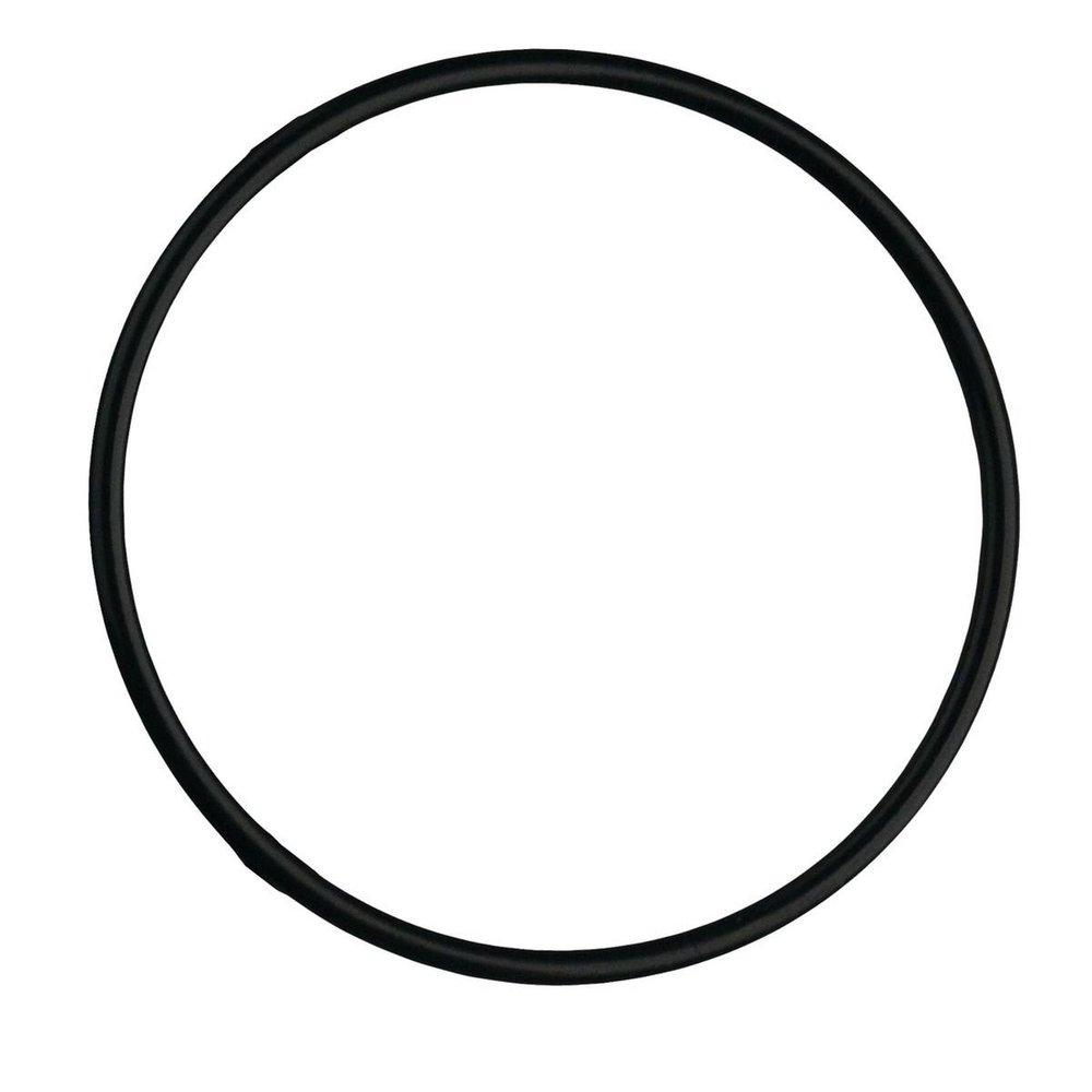 WATTS 7300398 O-RINGS & GASKETS