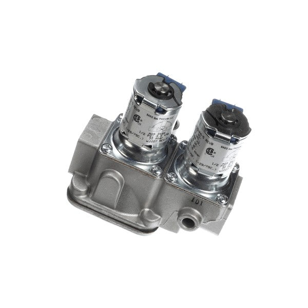 VALVE COMBINATION ASC-4G VA-28189 for Alto-Shaam