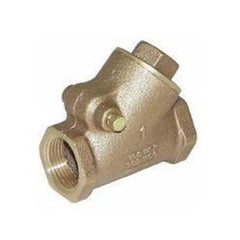 Legend 105-408NL Y-Pattern Check Valve 2 Inch Lead Free