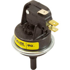 Lochinvar PRS3406 Water Pressure Switch for EnergyRite ER(N, L) 152-402 Residential Pool Heaters