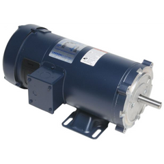 Leeson 108020.00 | DC NEMA SCR Rated 90 and 180 Volt Motors