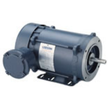 Leeson 116616.00 AC Single Phase Explosion Proof Motors 2 hp