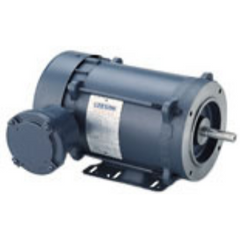 Leeson 116616.00 AC Single Phase Explosion Proof Motors 2 hp