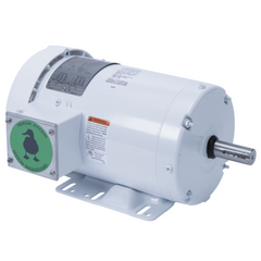 Leeson 121866.00 Washdown Duty AC Motor 2 hp 1,800 rpm 230/460