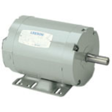 Leeson 120379.00 | AC Three Phase Agricultural Duty Motors